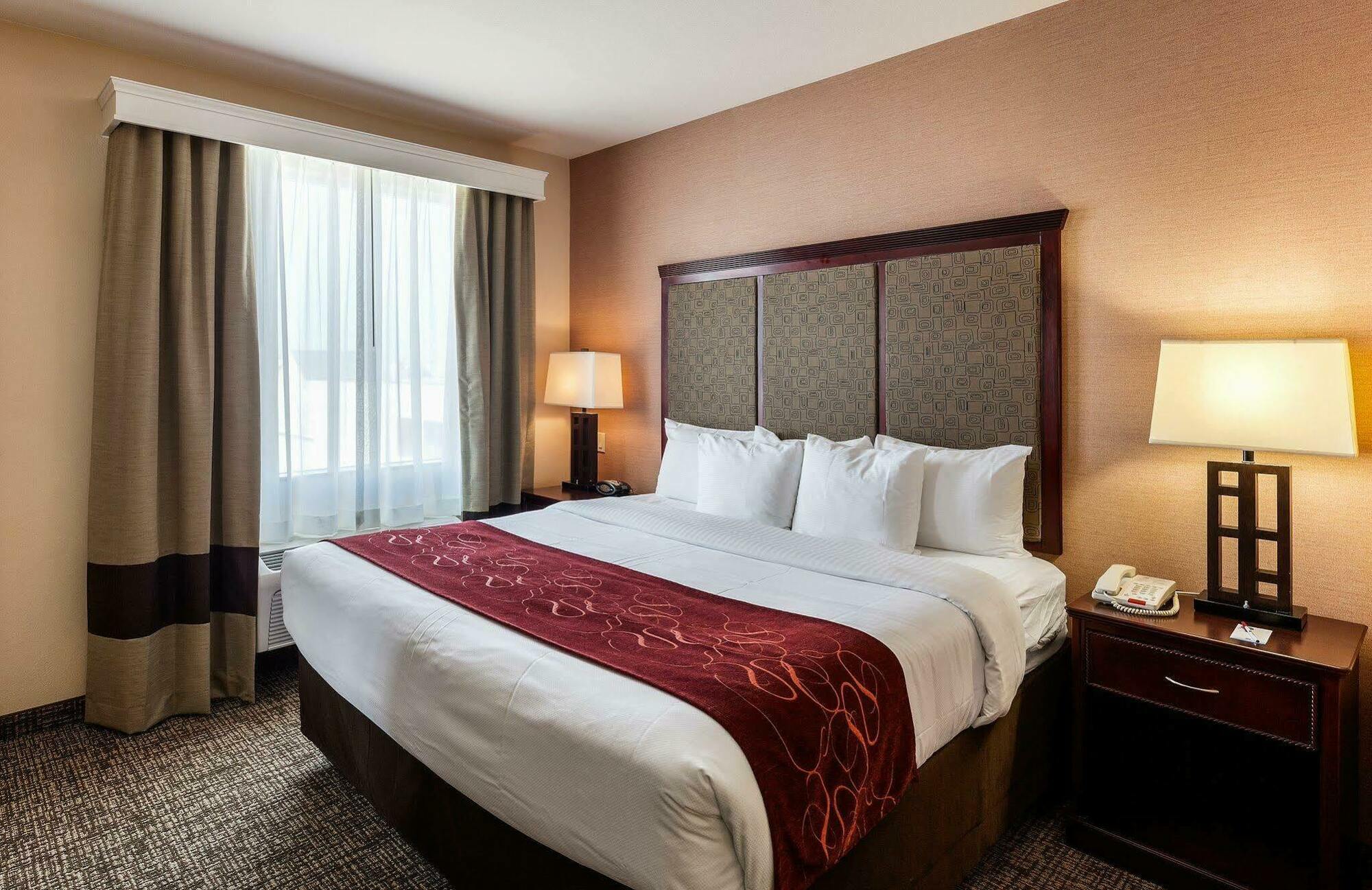 Comfort Suites Plano - Dallas North Extérieur photo